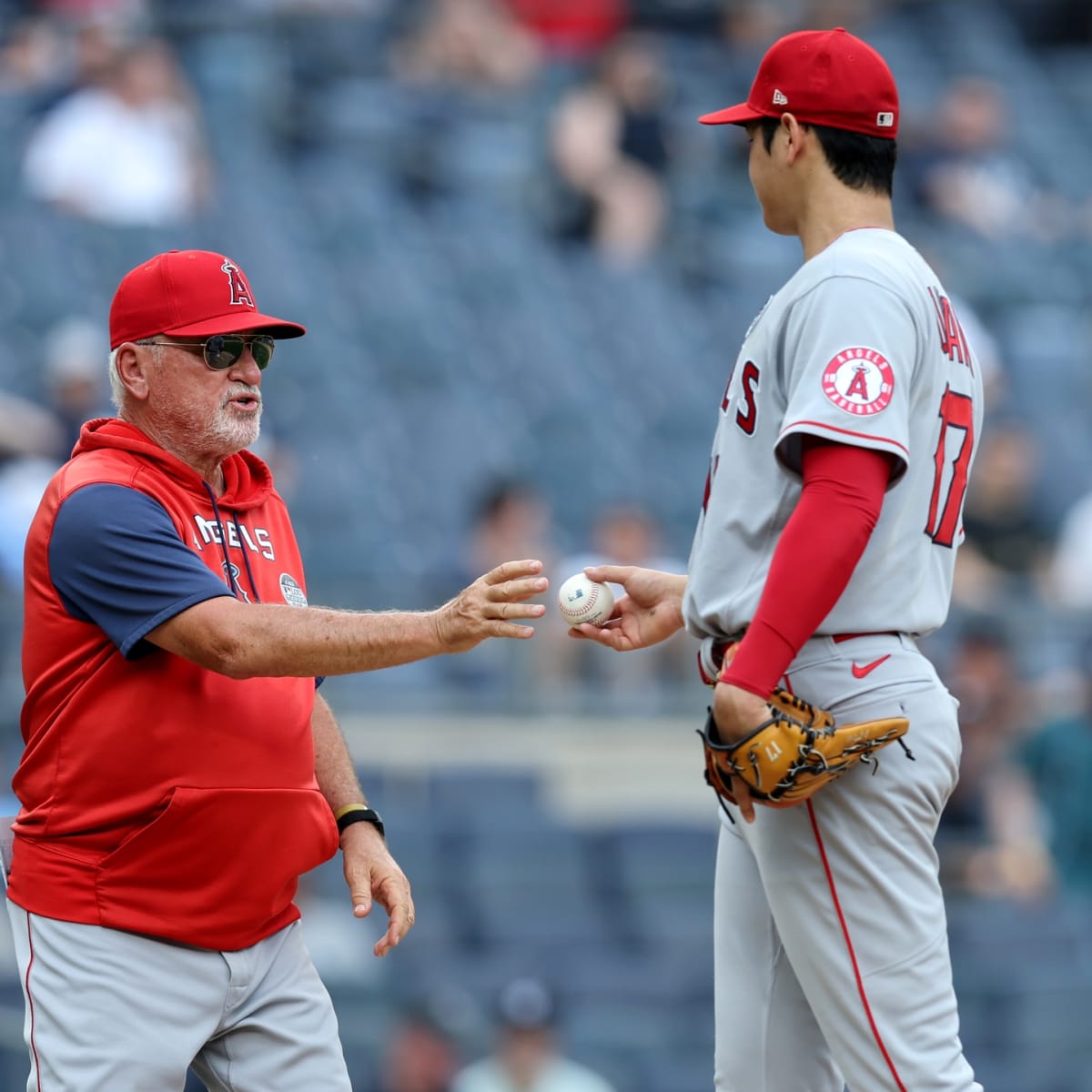 Joe Maddon Reveals The Most Unique Thing He Learned About Shohei Ohtani