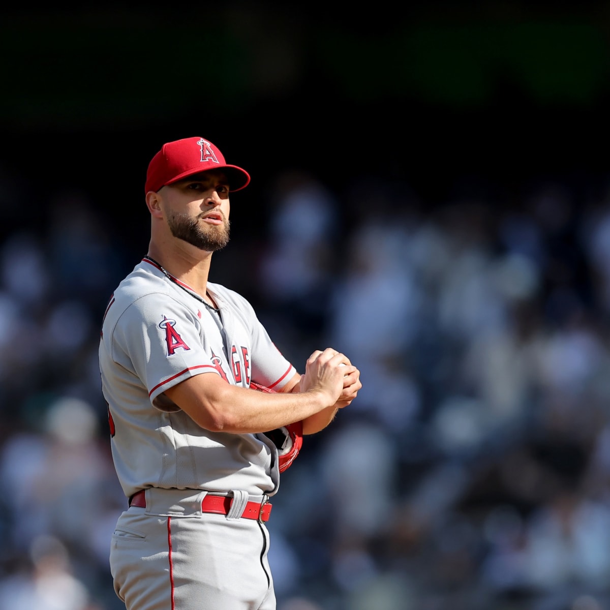 Angels News: Logan O'Hoppe Dealing With No Pain Following Serious Shoulder  Injury - Los Angeles Angels