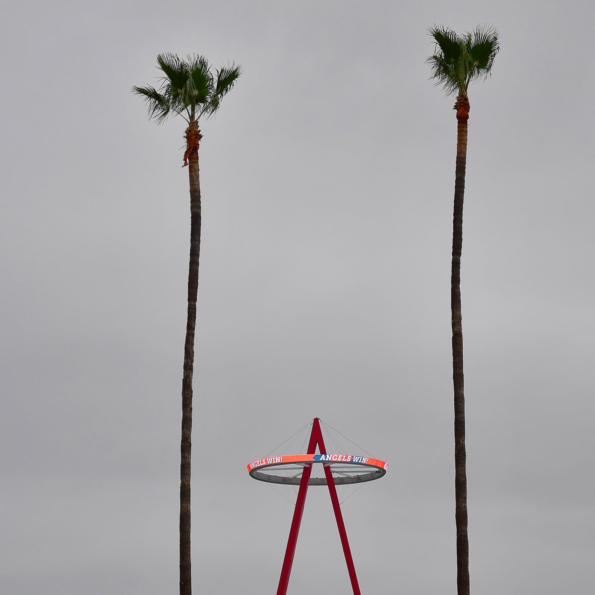 Logan O'Hoppe appears ready after being thrust into Angels