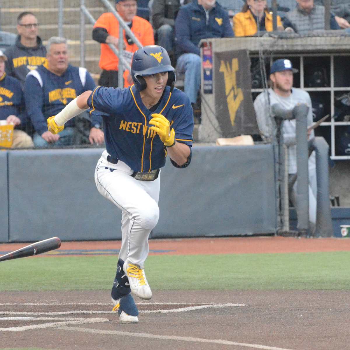 WVU baseball: Mazey says Wetherholt had 'the best season I've ever seen', Sports