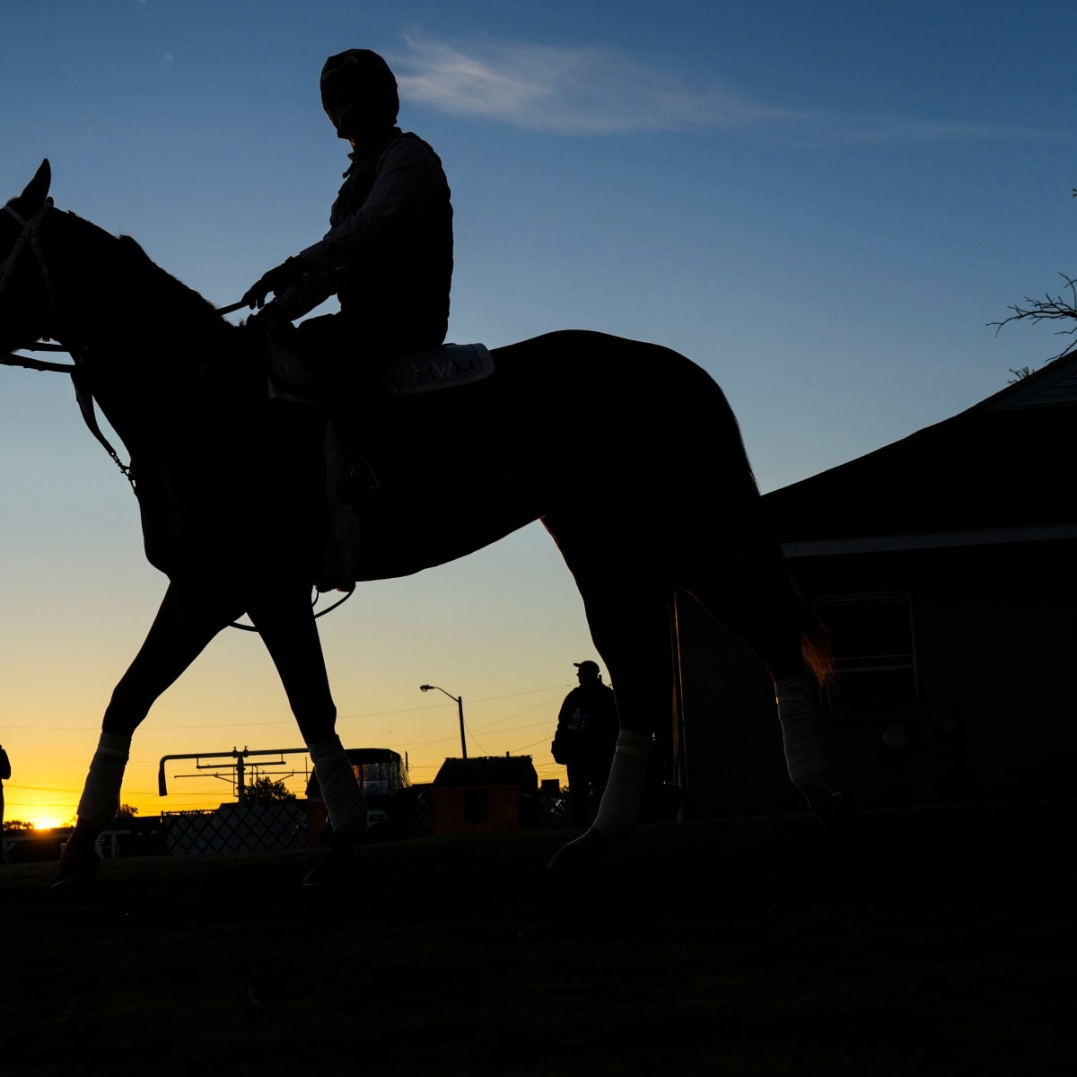 Sports Illustrated Kentucky Derby 2023 Expert Picks & Predictions