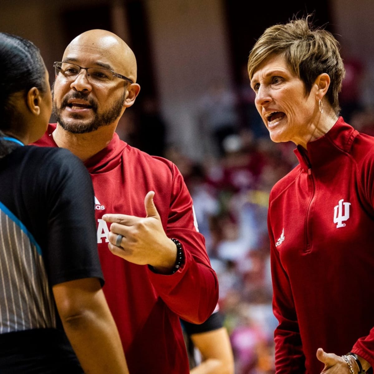 Indiana Women's Basketball Associate Head Coach Glenn Box Named Head Coach  at Miami (OH) - Sports Illustrated Indiana Hoosiers News, Analysis and More