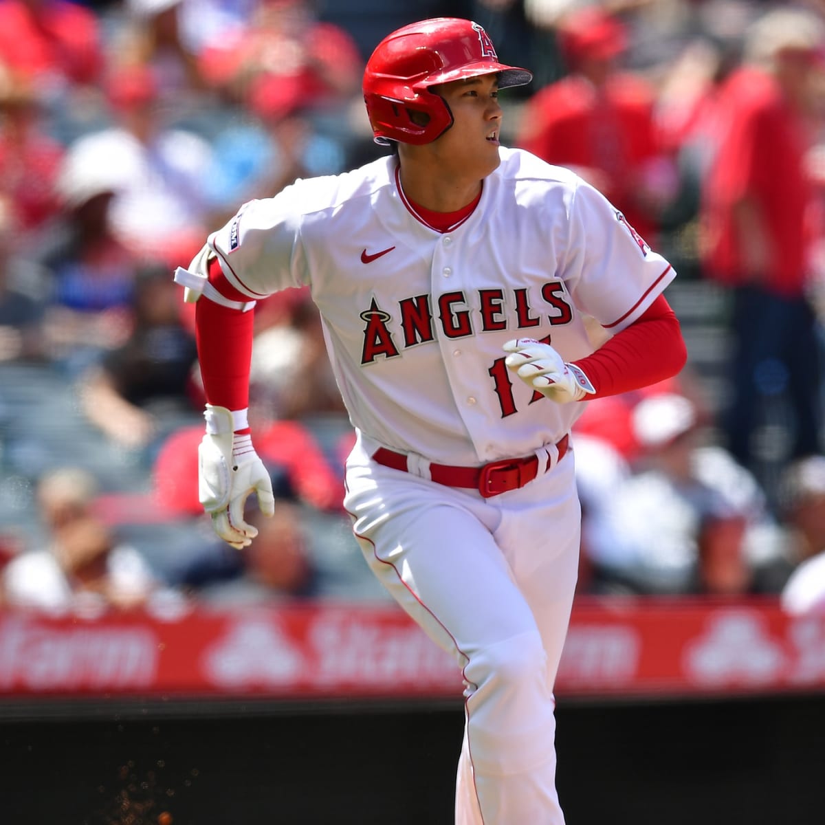 Angels Rumors: Shohei Ohtani isn't Going Anywhere, Opines MLB Insider - Los  Angeles Angels