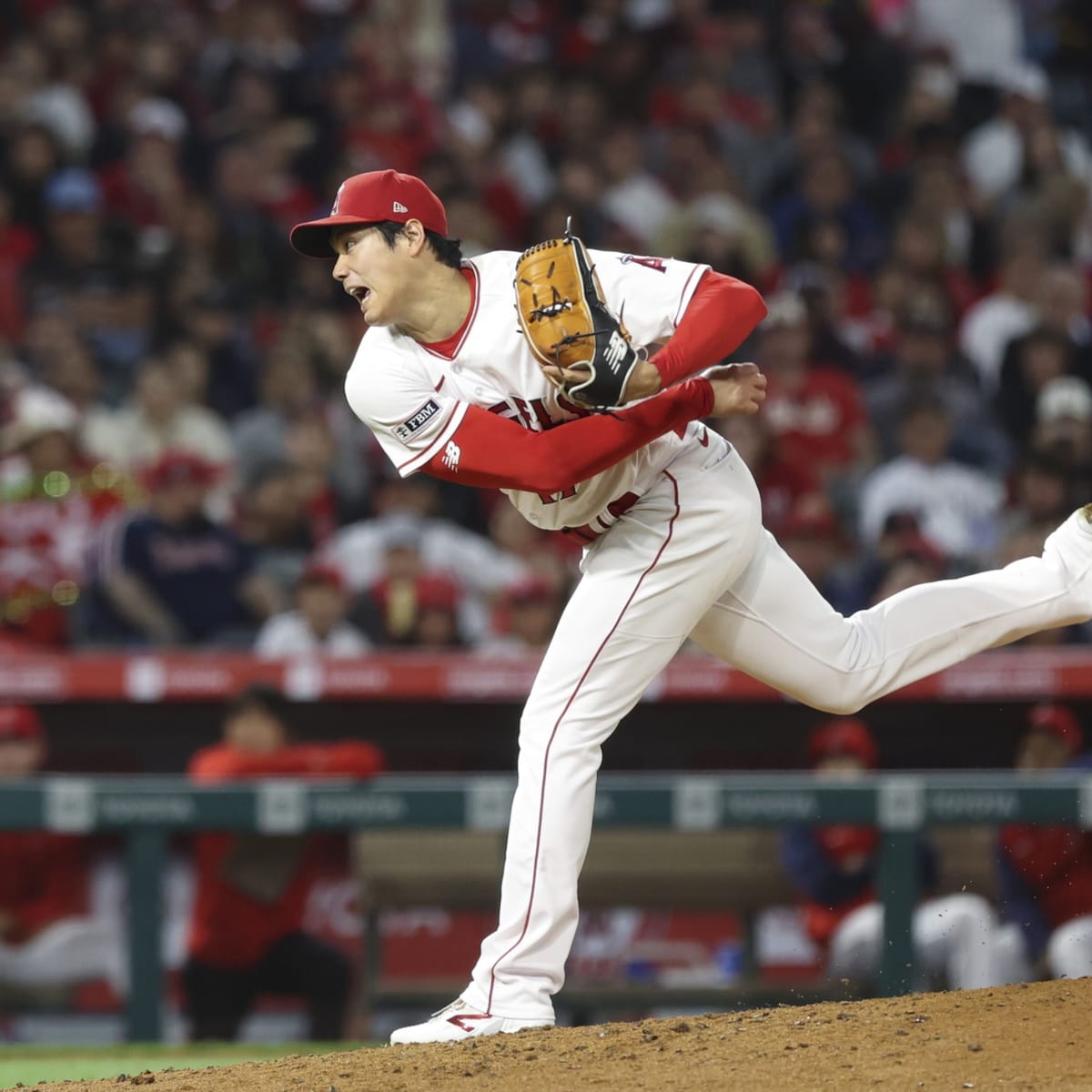 St. Louis Cardinals Star Speaks Volumes of Shohei Ohtani's