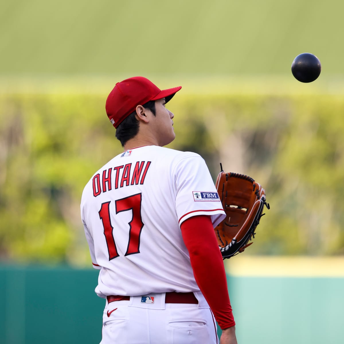 Shohei Ohtani will test what the Rickettses think of future, Cubs