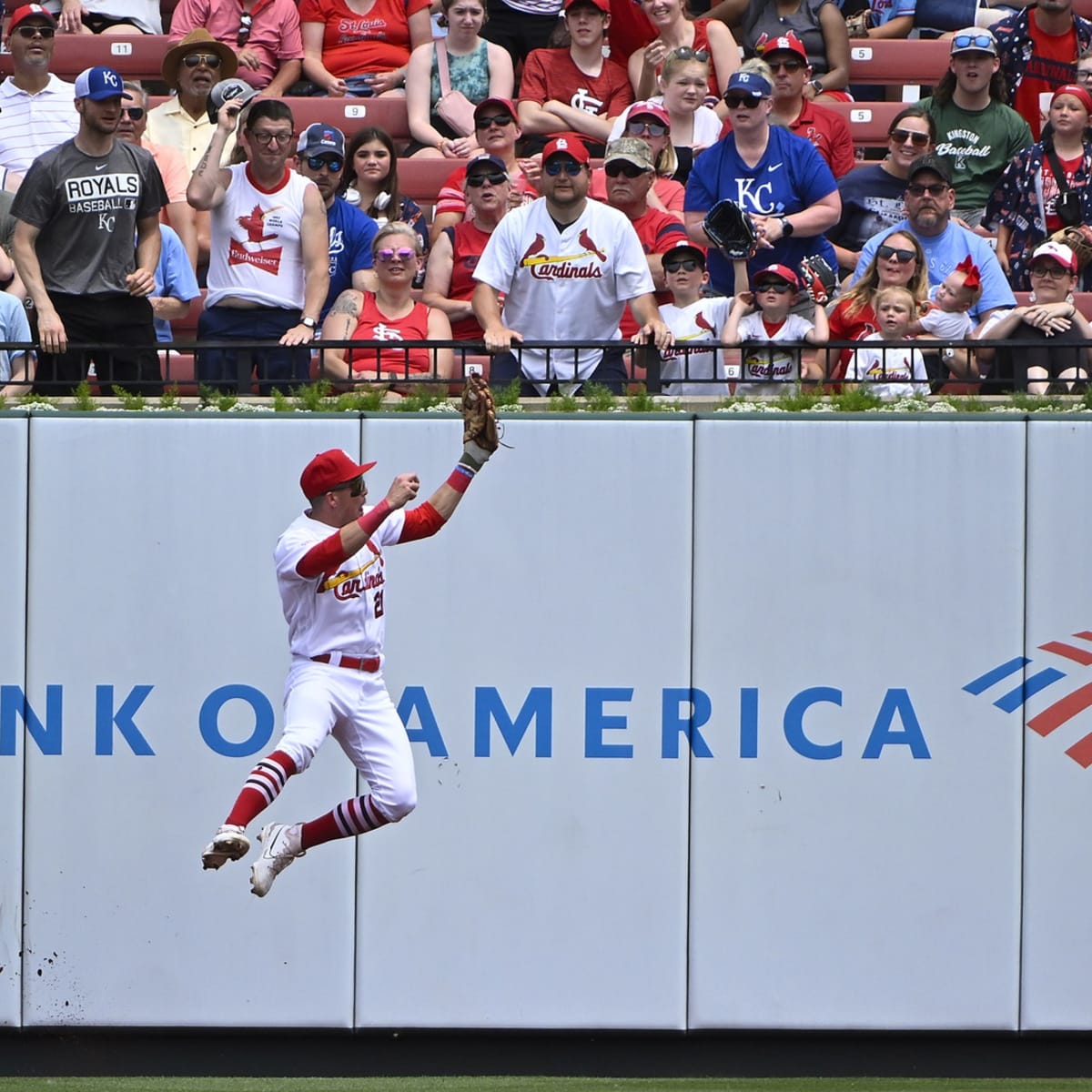 St. Louis Cardinals Place Starting Outfielder on Injured List