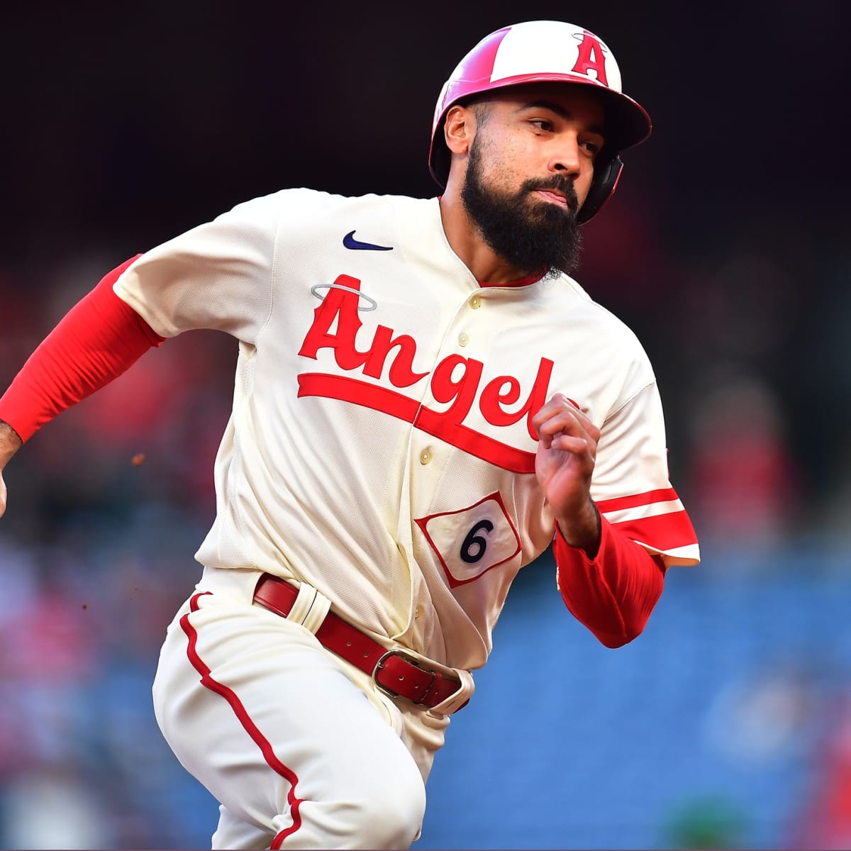 MLB investigating video showing Angels' Anthony Rendon grabbing fan by the  shirt