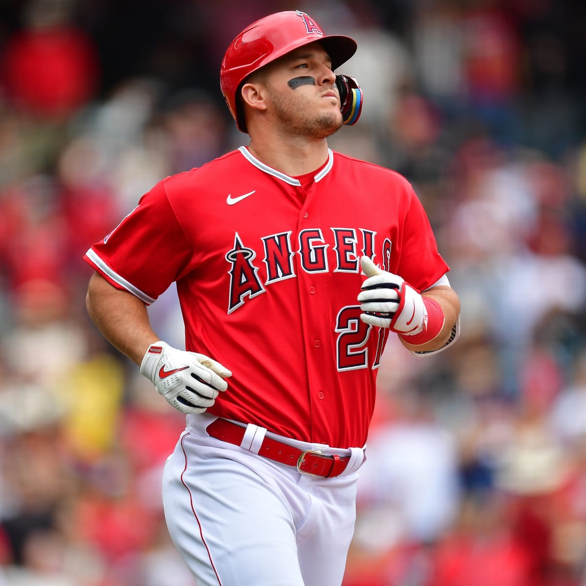 Mike Trout Doesn't Understand Why Angels Can't Compete with Top