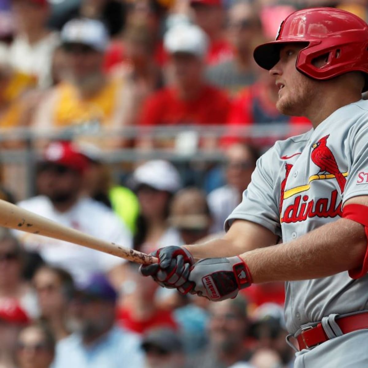 Cardinals Add Red-Hot Slugging Prospect By Designating Veteran For