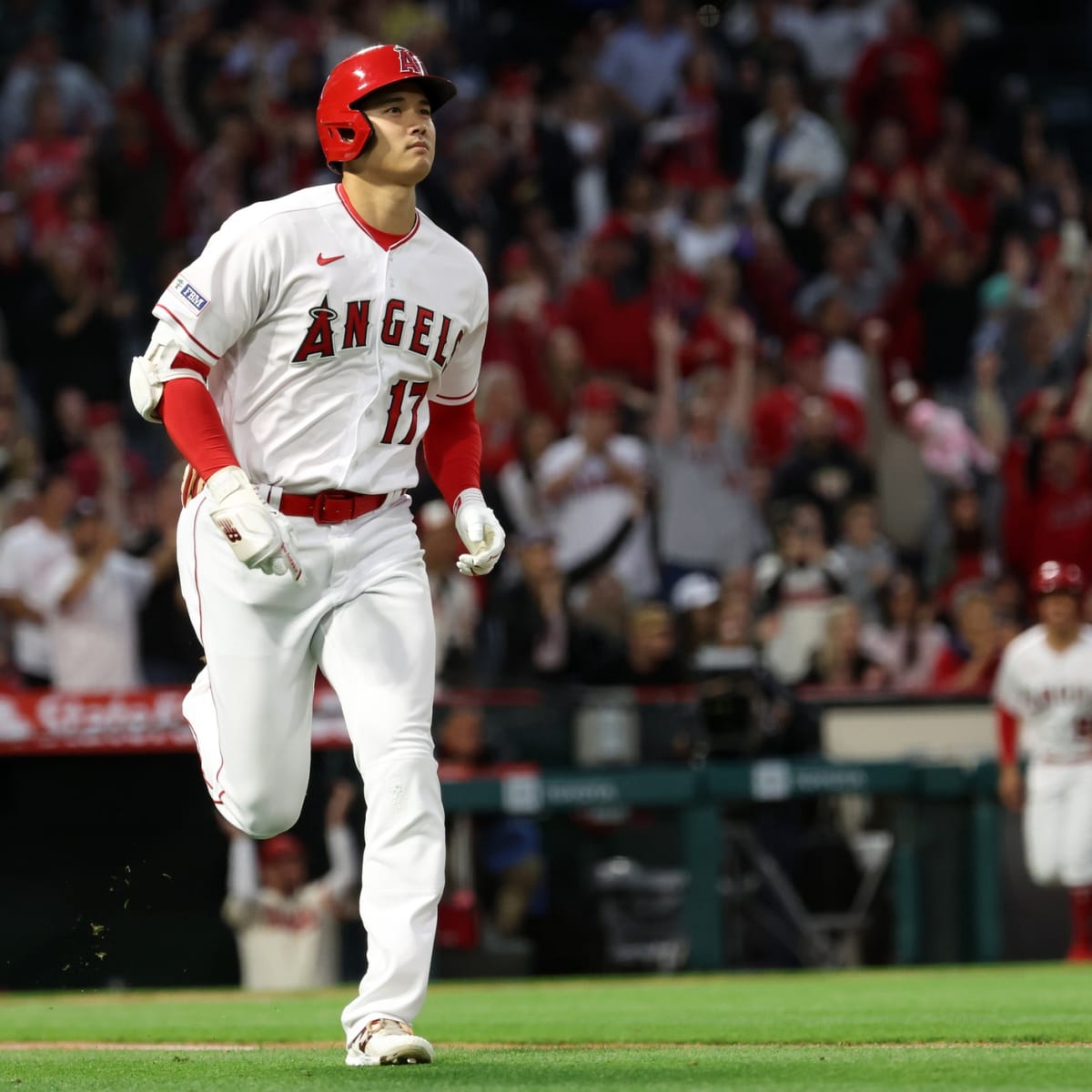 Angel Stadium Offering Ballpark Tours for the Whole Family All Offseason  Long - Los Angeles Angels