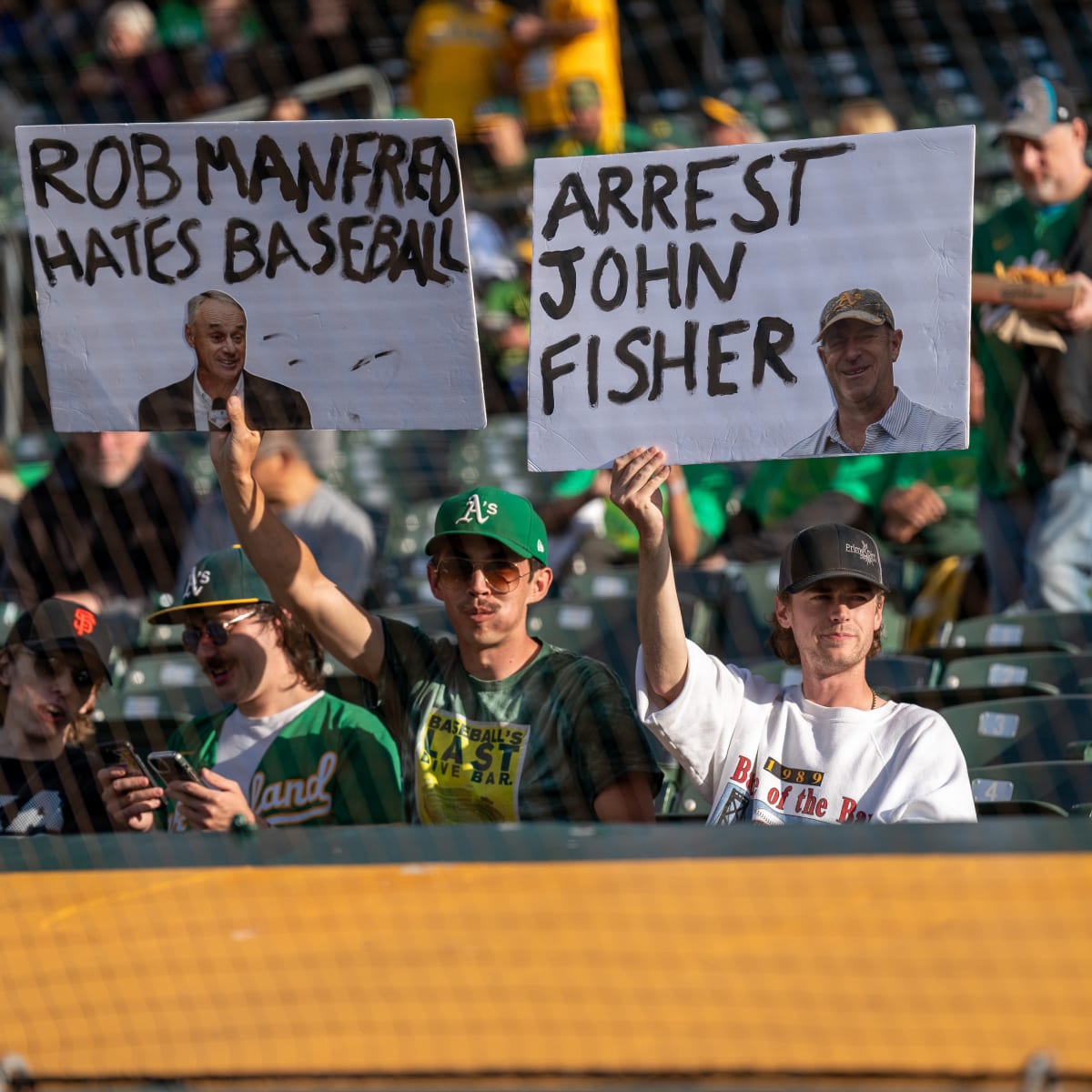 A's Fans Reverse Boycott Shows There's Plenty of Fight in