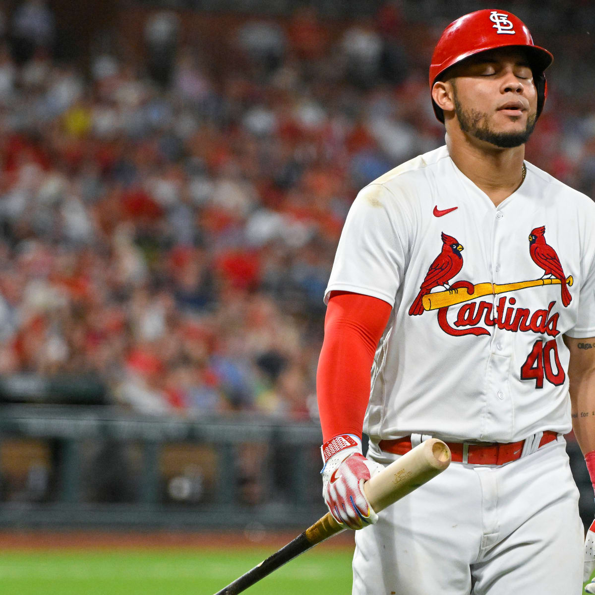 Cardinals Reportedly Lose Outfielder For Season; Has He Played His Last  Game For Club? - Sports Illustrated Saint Louis Cardinals News, Analysis  and More