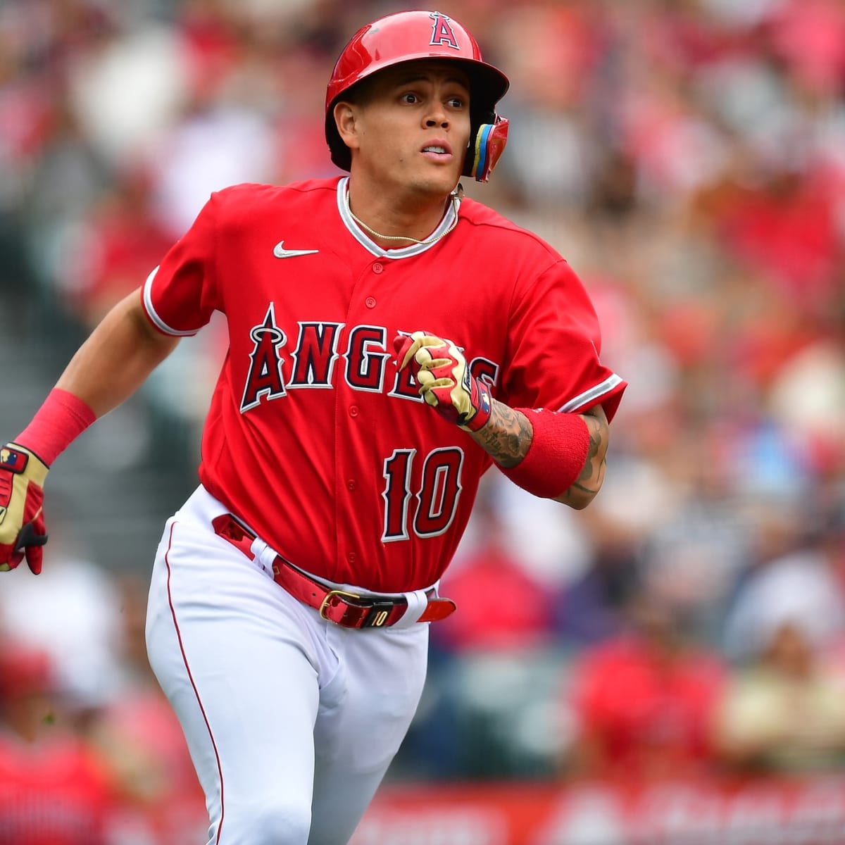 Gio Urshela of the Los Angeles Angels is tended to by a trainer after  News Photo - Getty Images