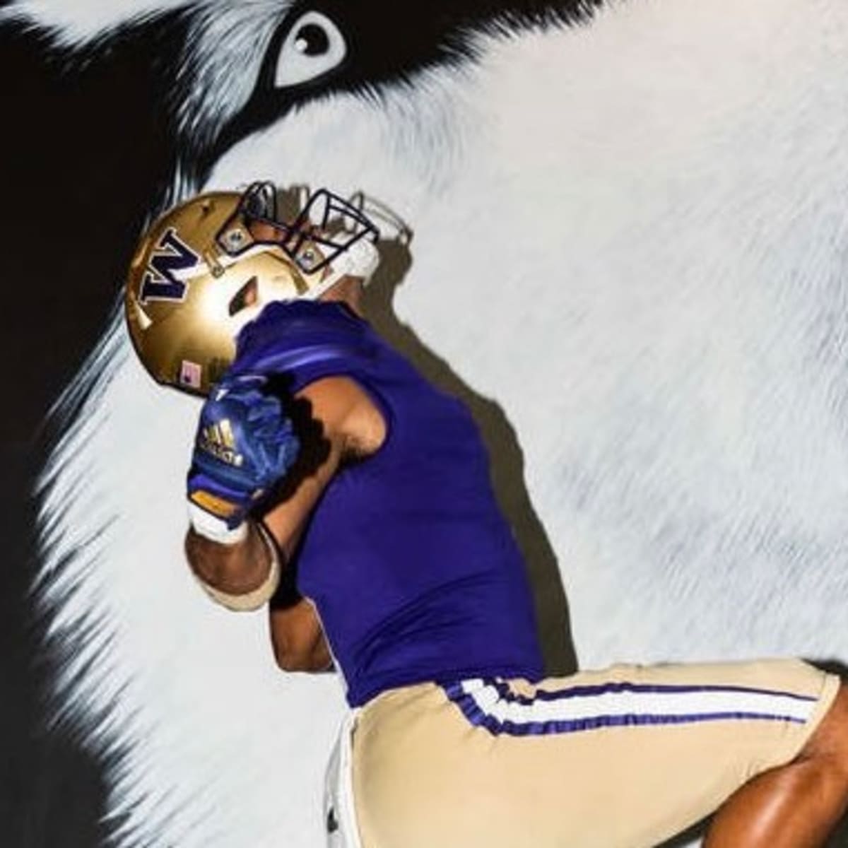 Washington Huskies New Football Uniforms - Daily Snark