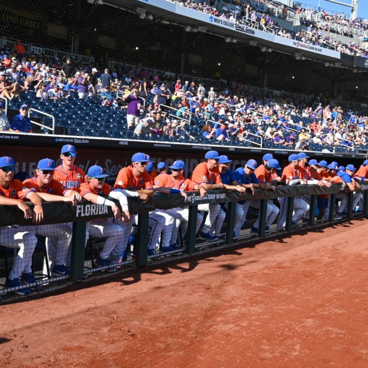 Gators Baseball loses grip on lead to fall 5-3 to Tigers