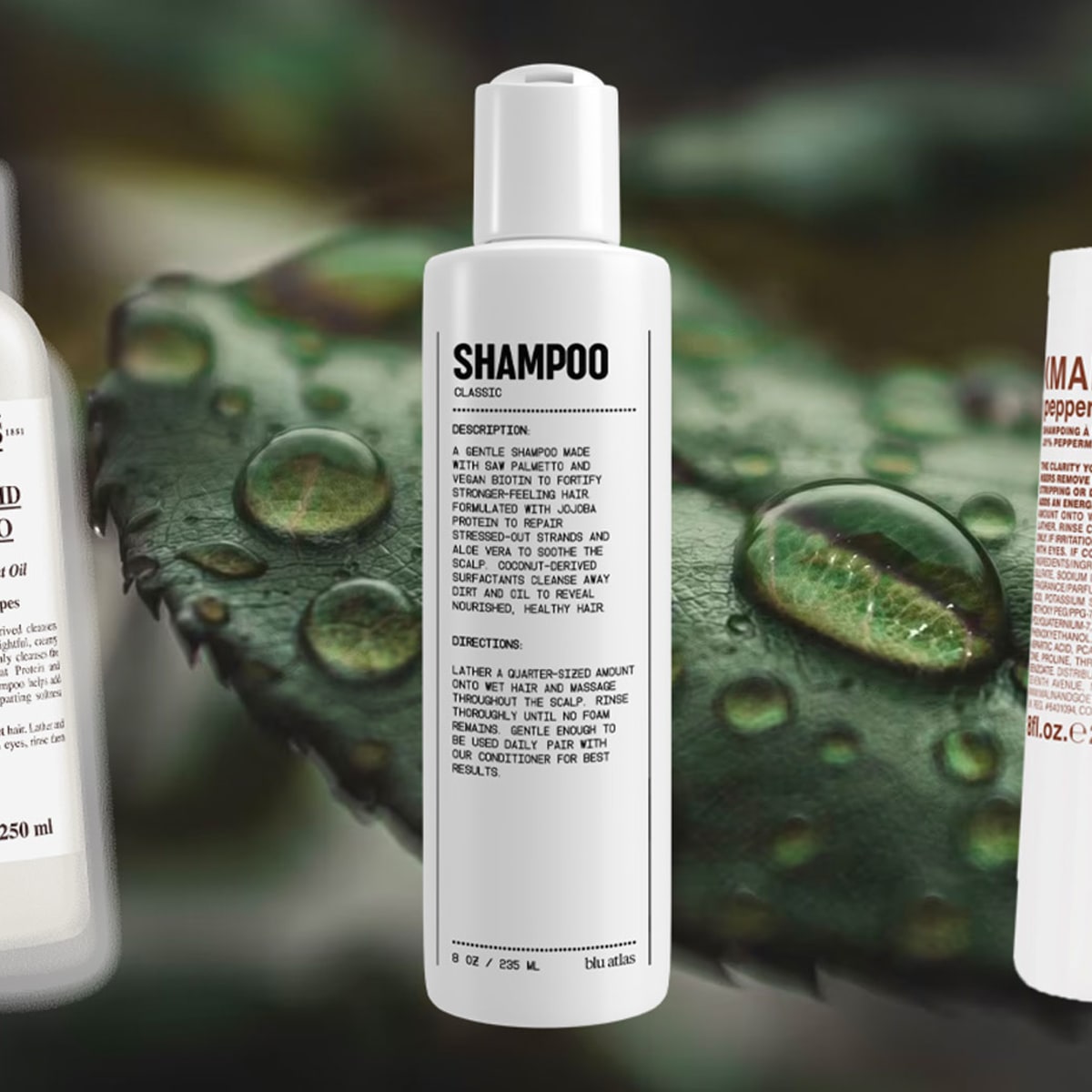 8 Best Natural Shampoos For Men – Chemical Free Picks For 2024
