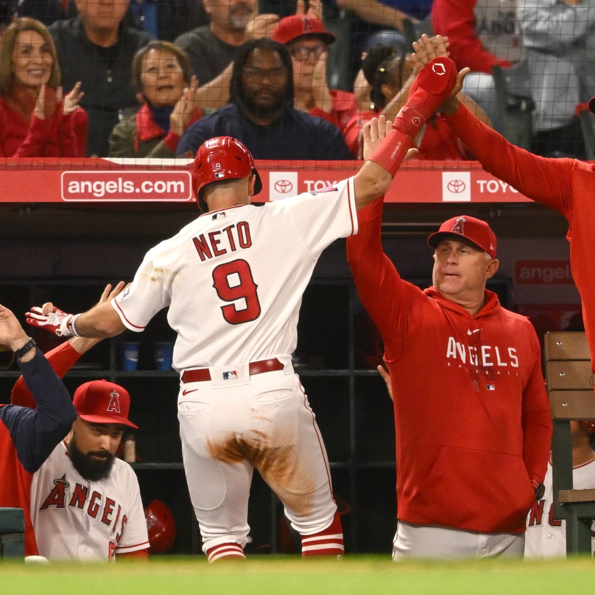 Mike Trout faces live pitching, nears return to Angels' lineup – Orange  County Register