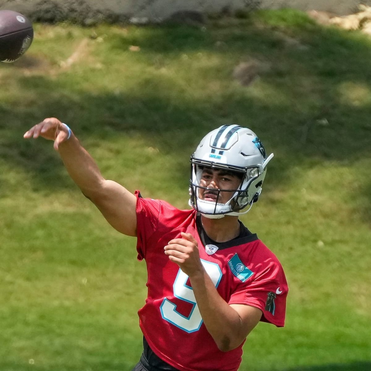 Panthers release training camp dates, tickets now required for fan