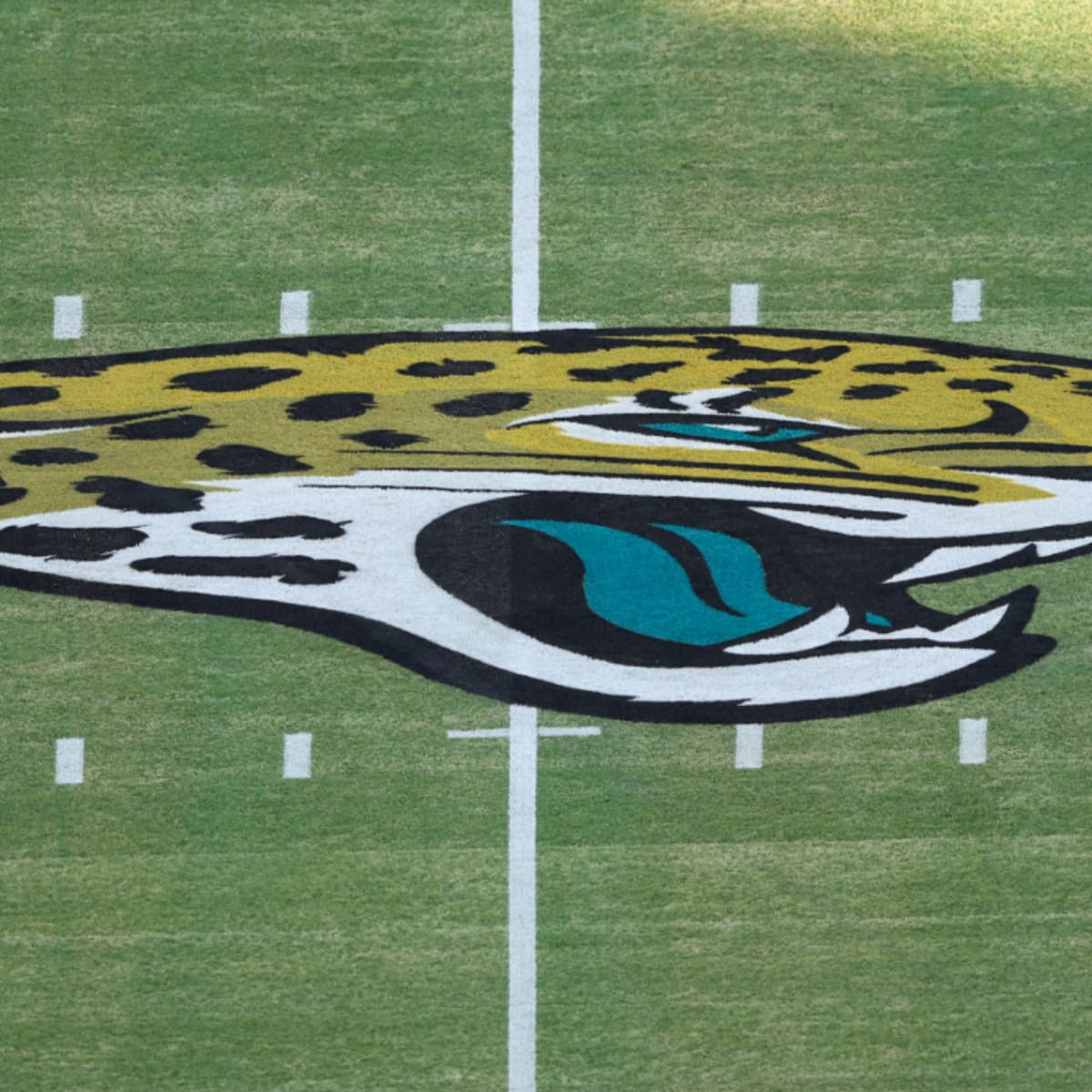 Kevin Maxen, Jaguars assistant strength coach, comes out as first openly  gay male coach in NFL