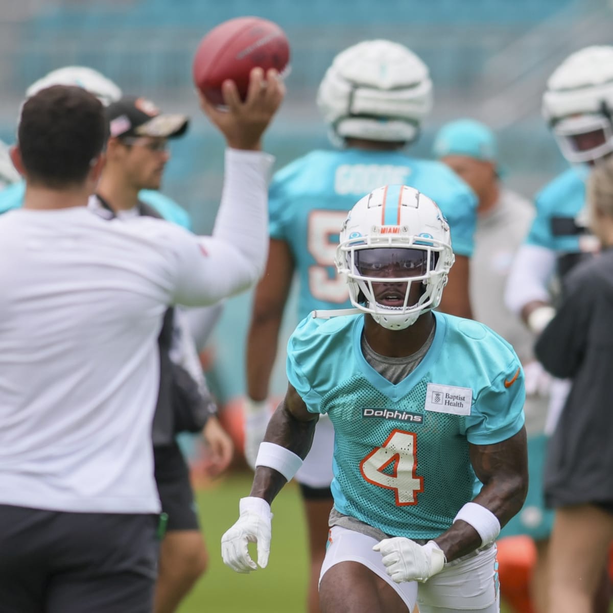 Miami Dolphins Camp Preview: Tight Ends - Sports Illustrated Miami Dolphins  News, Analysis and More