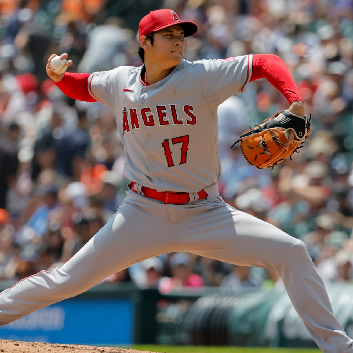 Shohei Ohtani: Los Angeles Angels Two-Way Star Suffers Torn Ligament in  Elbow - Sports Illustrated
