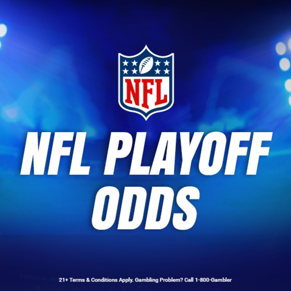 Betting Odds to Make the NFL Playoffs in 2023-24 - FanNation