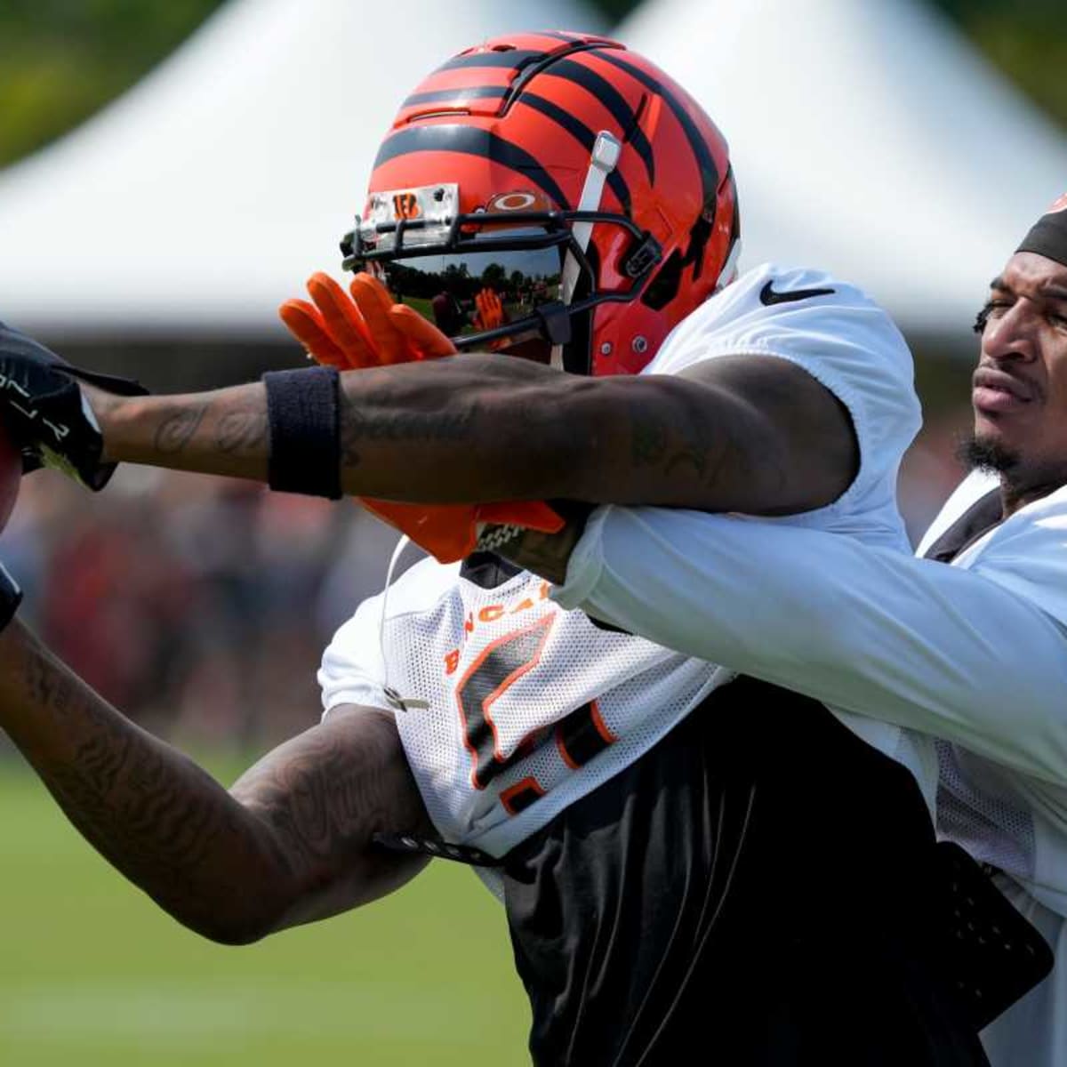 Cincinnati Bengals' Tee Higgins playing like a top receiver