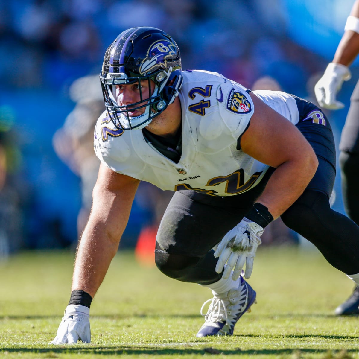 Baltimore Ravens fullback Patrick Ricard (42) in action during the second  half of an NFL football game against the Denver Broncos, Sunday, Dec. 4,  2022, in Baltimore. (AP Photo/Nick Wass Stock Photo - Alamy