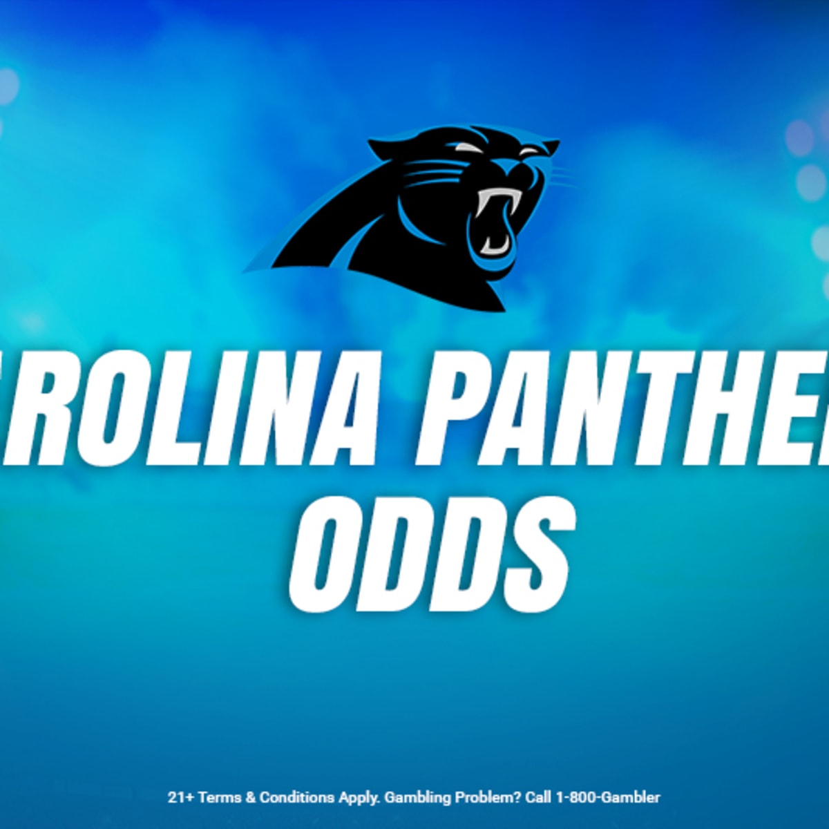 Panthers NFL Betting Odds  Super Bowl, Playoffs & More - Sports