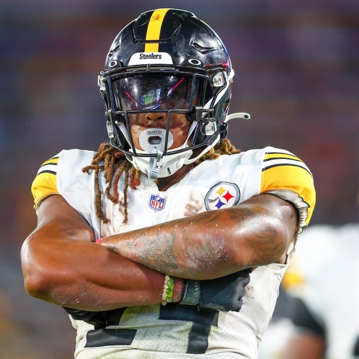 Detroit Lions Sign Former Pittsburgh Steelers RB - Sports