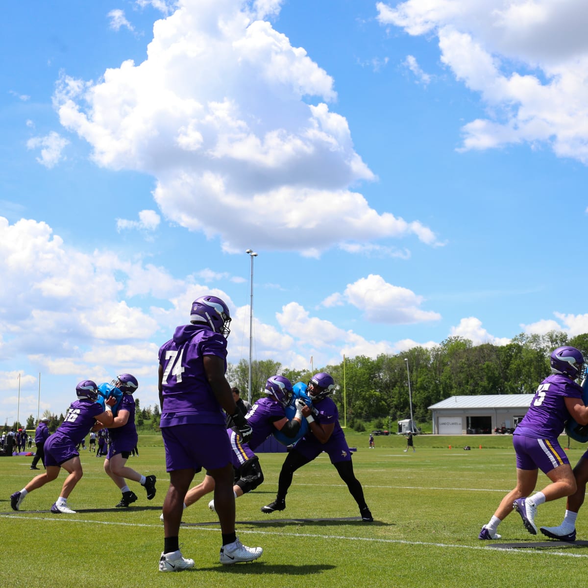 Vikings 53-Man Roster Projection & Pre-Season Notes - Daily Norseman