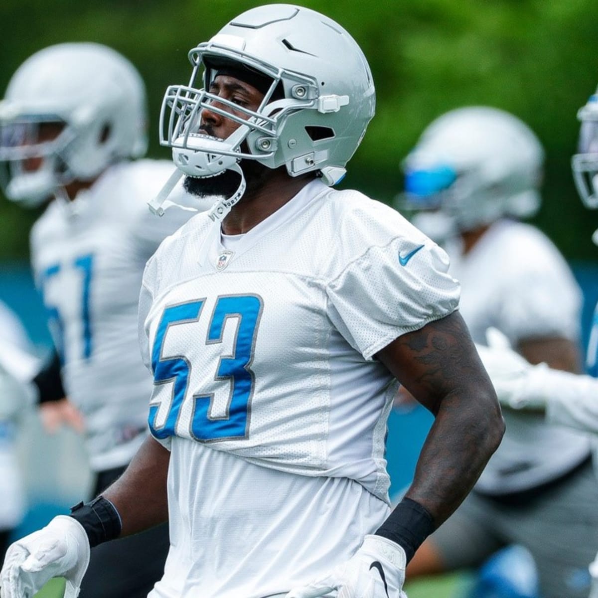 Lions defensive tackle Alim McNeill getting more breakout buzz