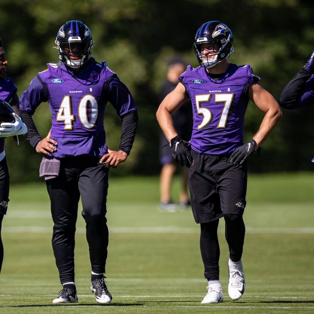 Mark Andrews One of Ravens Best Players in Training Camp - Sports  Illustrated Baltimore Ravens News, Analysis and More