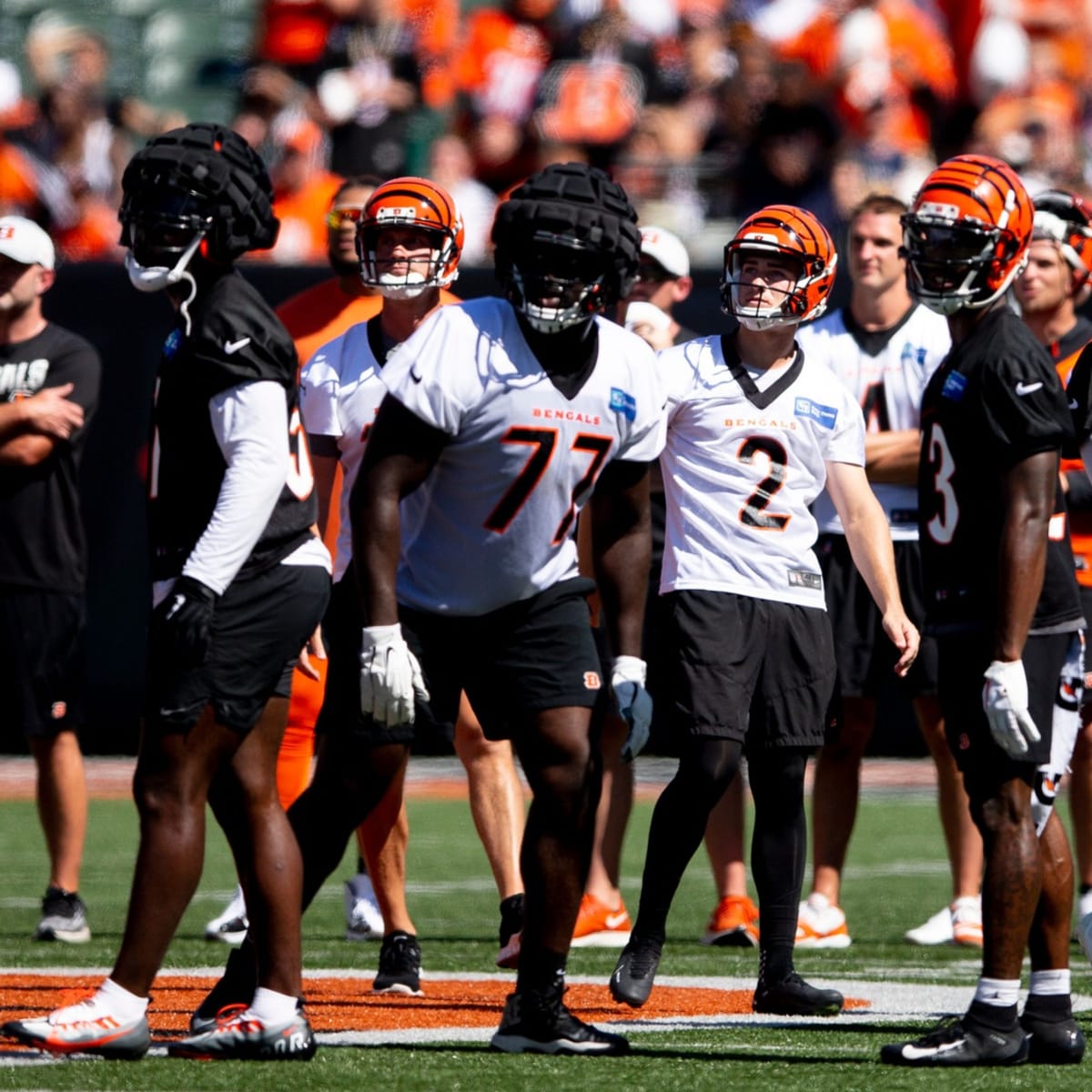 Gallery: Bengals Back Together Saturday event at Paul Brown Stadium