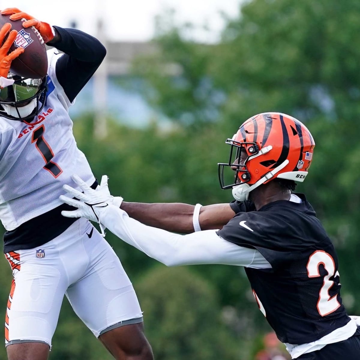 Bengals Camp: Chase admits to some rust from year off; Spain likes guard  competition