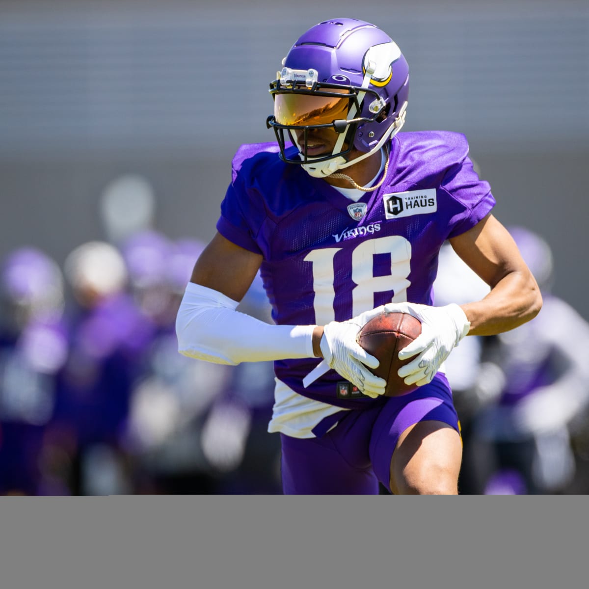 Blue Chips: The Best Players On Vikings Roster