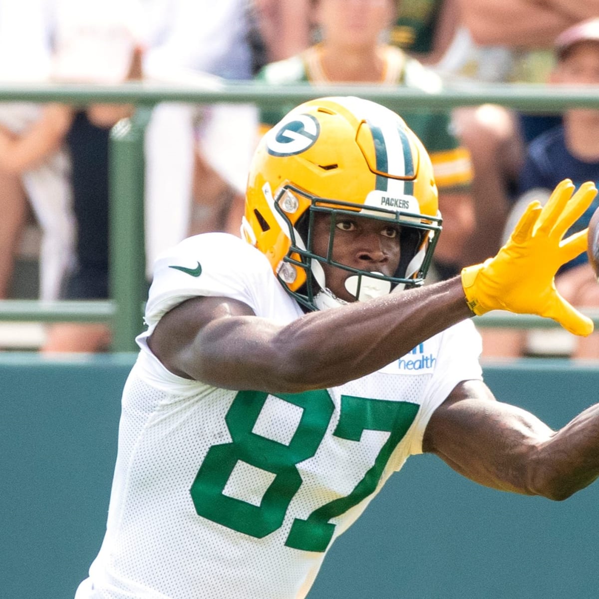 Packers WR Romeo Doubs Showed Savvy on Sensational Touchdown