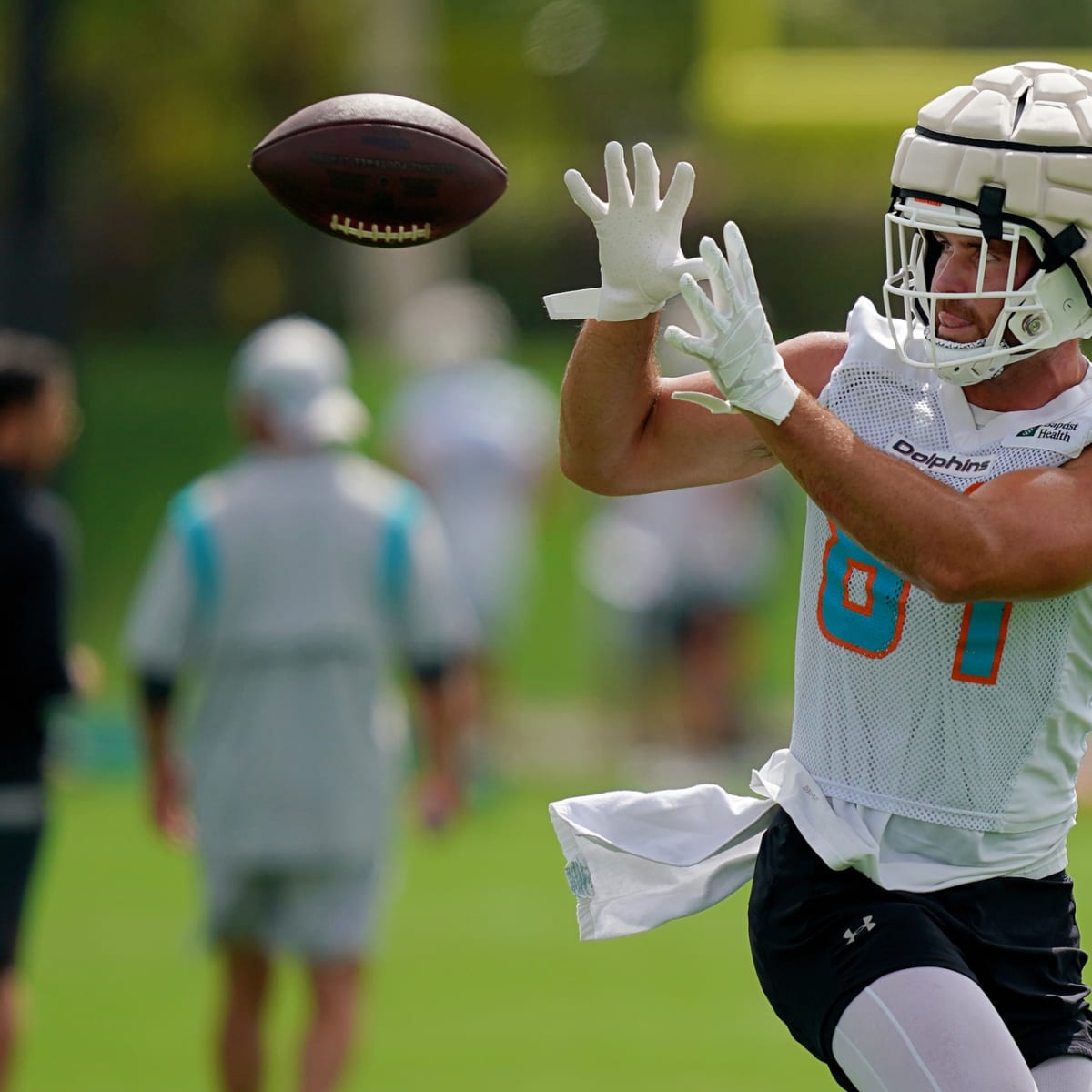 Miami Dolphins tight end Durham Smythe's 15-yard catch ends with