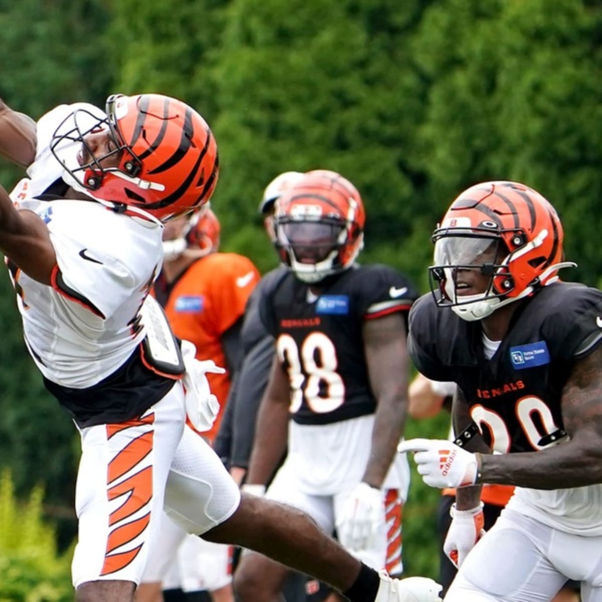 Dax Hill Shining Bright for Cincinnati Bengals After Offseason Full of  Safety Questions - Sports Illustrated Cincinnati Bengals News, Analysis and  More