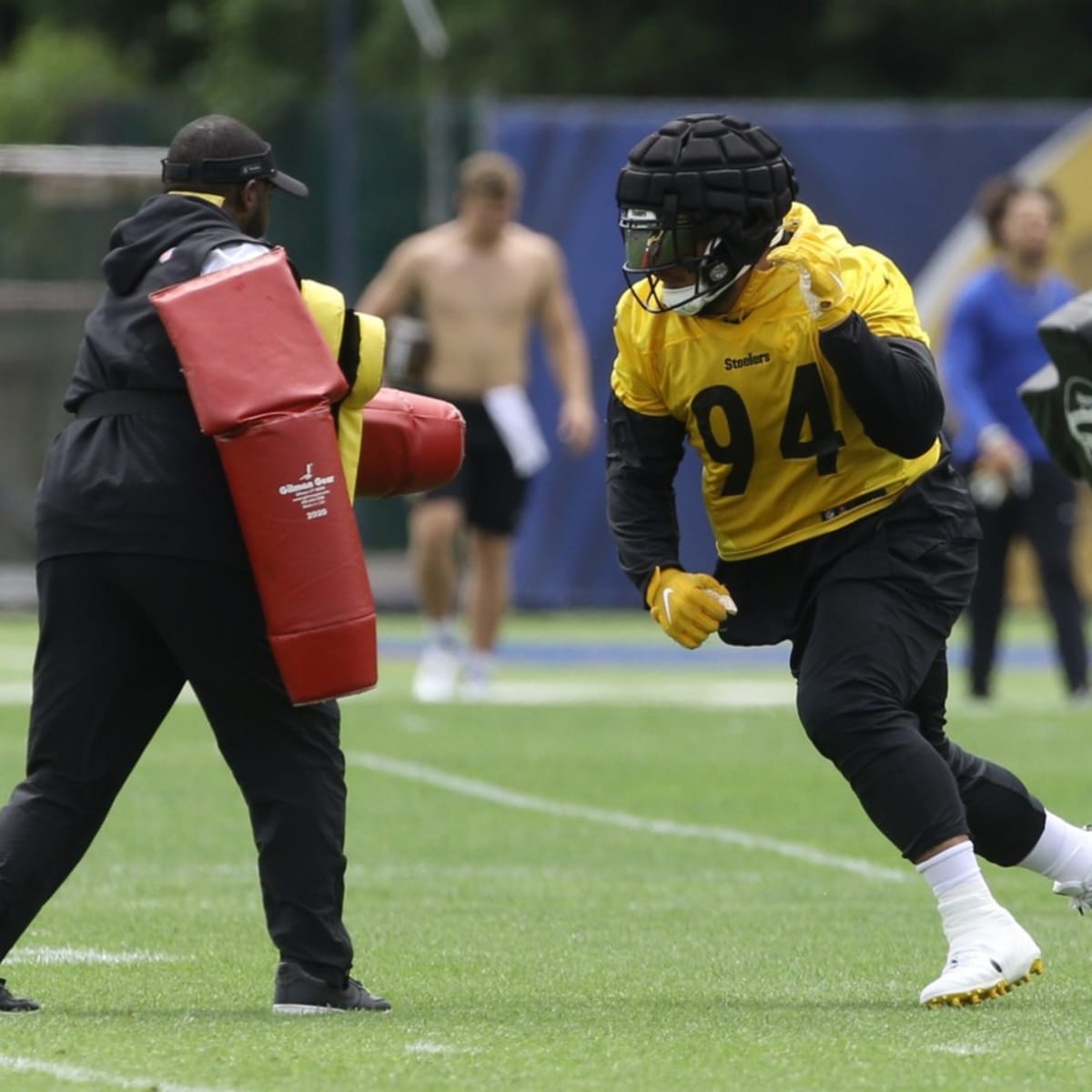 Steelers fear Tyson Alualu lost for the season, injuries piling up