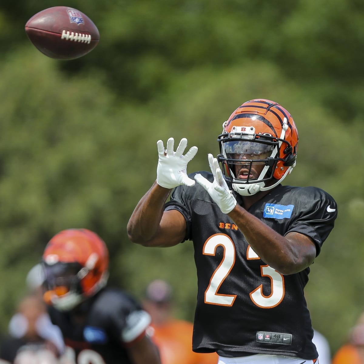 Bengals: Second-year safety Dax Hill faces important season - A to