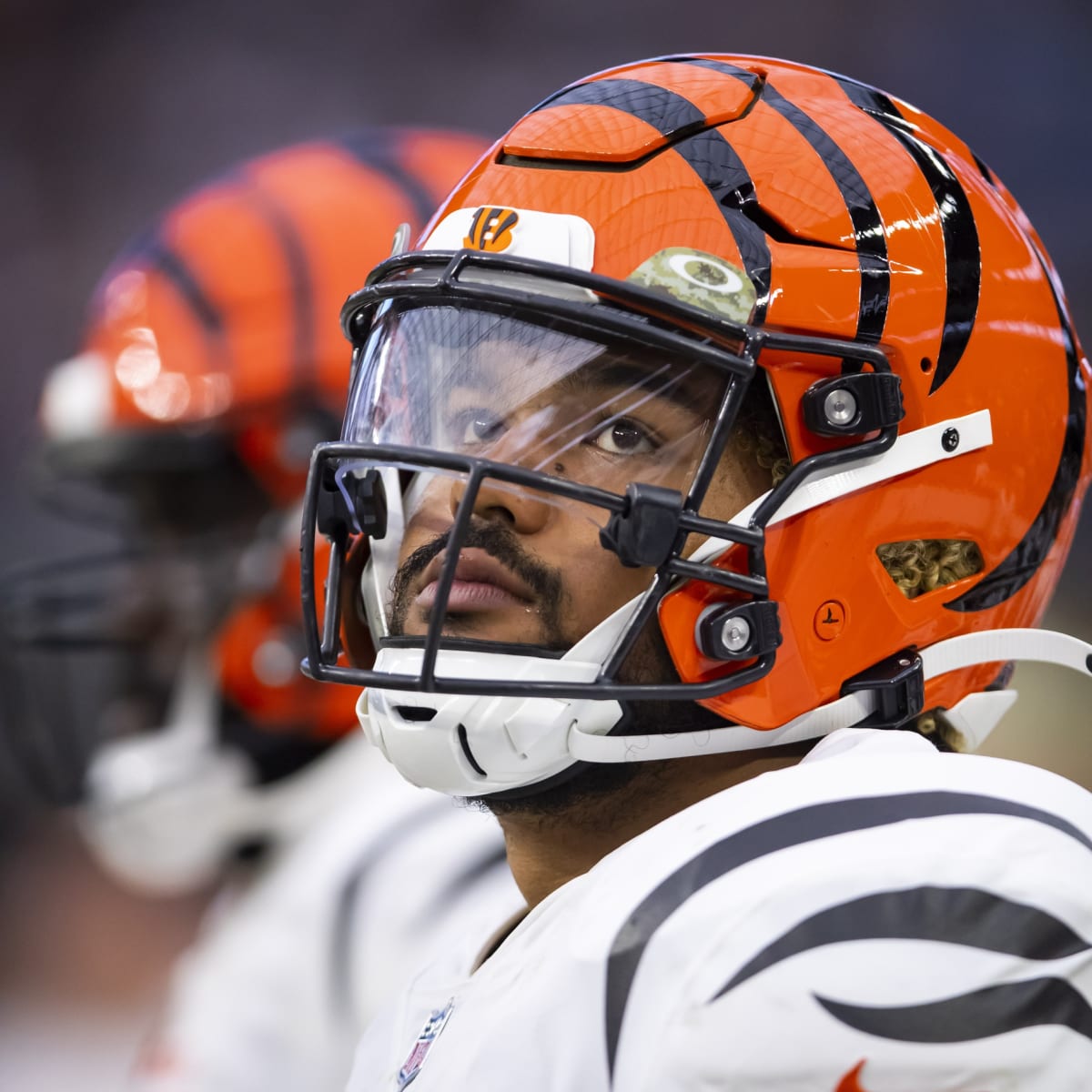 Bengals lose lineman to injury, possibly out for season