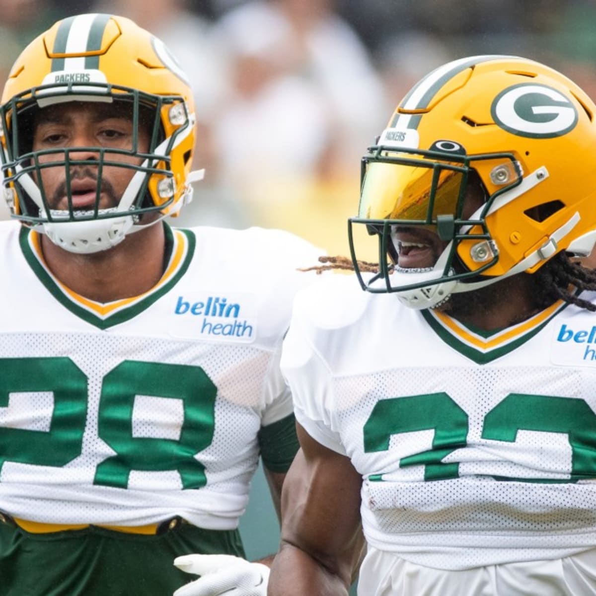 Ranking the Packers' Roster: Steven Wirtel, Jack Coco, Juwann Winfree,  Dominique Dafney, Rasheed Walker, Cole Van Lanen - Sports Illustrated Green  Bay Packers News, Analysis and More