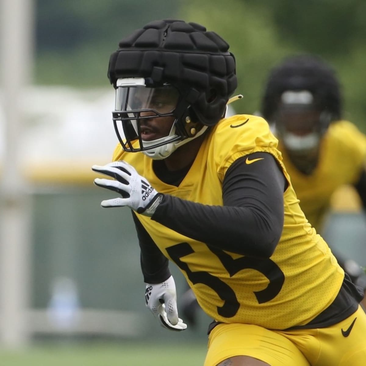 Devin Bush Talks About Pittsburgh Steelers Declining Fifth-Year Option -  Sports Illustrated Pittsburgh Steelers News, Analysis and More