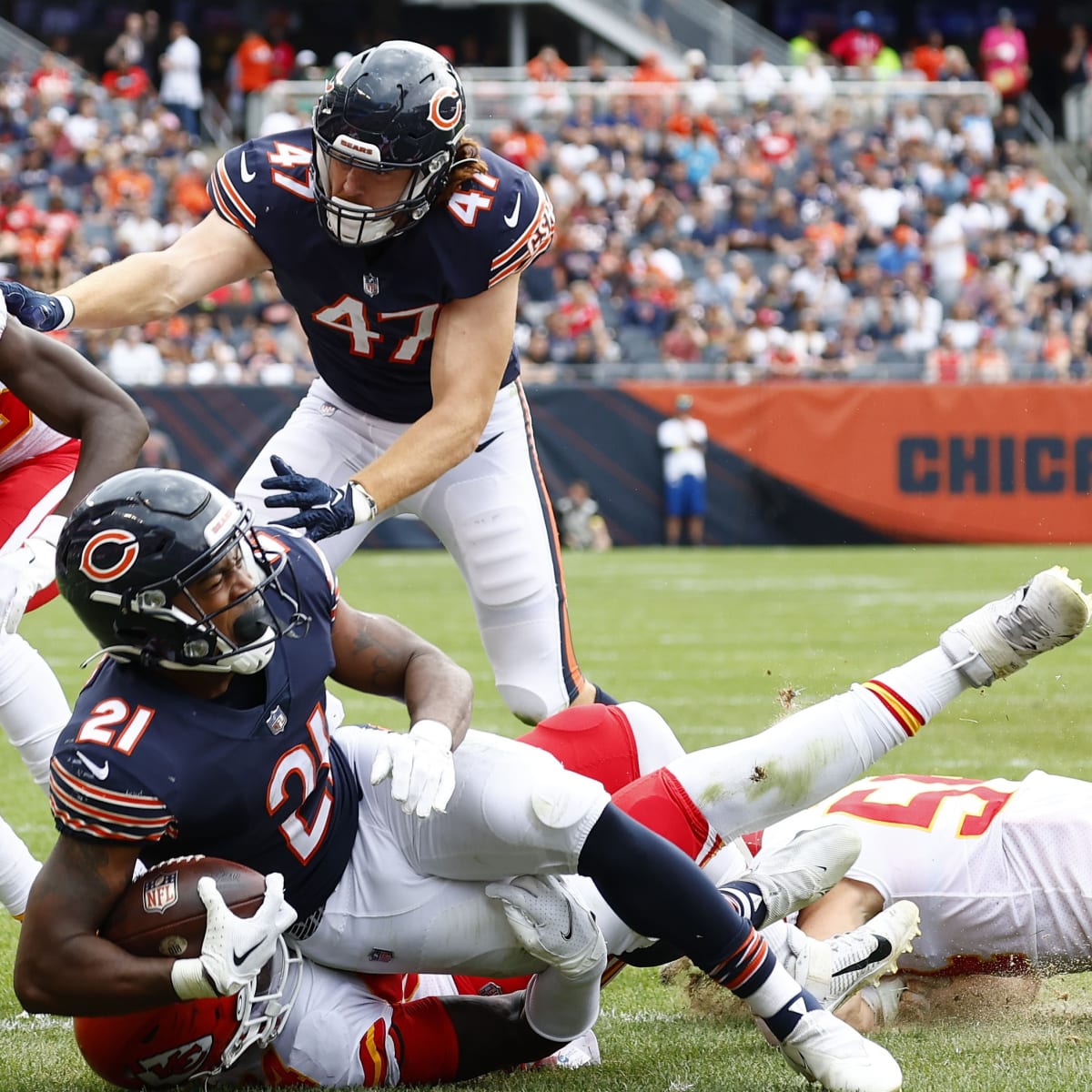 Baltimore signs former Chicago Bears special teams ace - Sports Illustrated Chicago  Bears News, Analysis and More