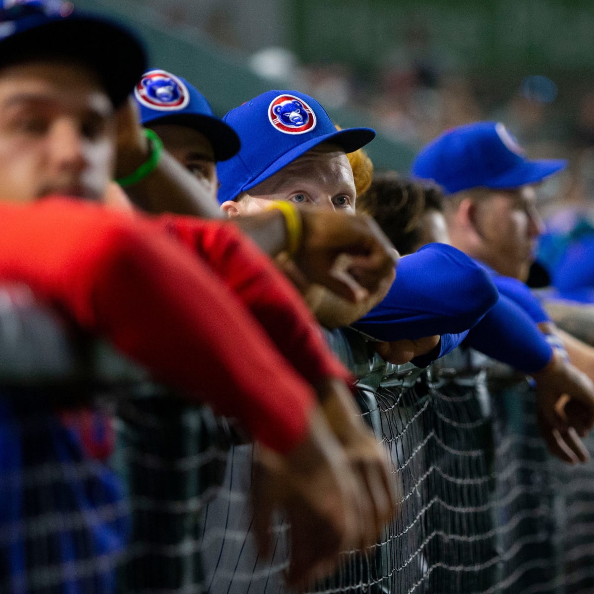 Chicago Cubs Lineup: The Whole Core, Together, at Wrigley Field