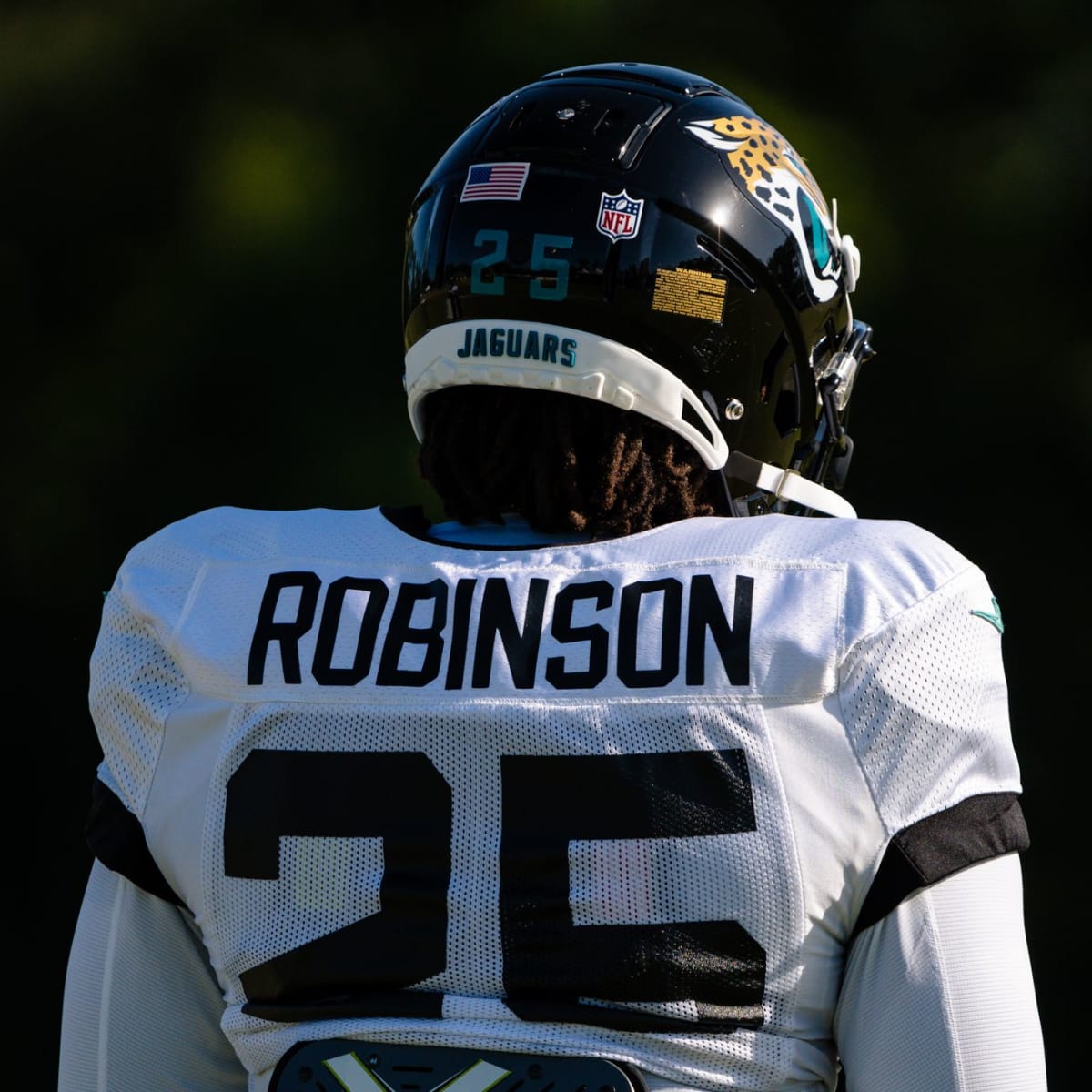 jaguars robinson jersey