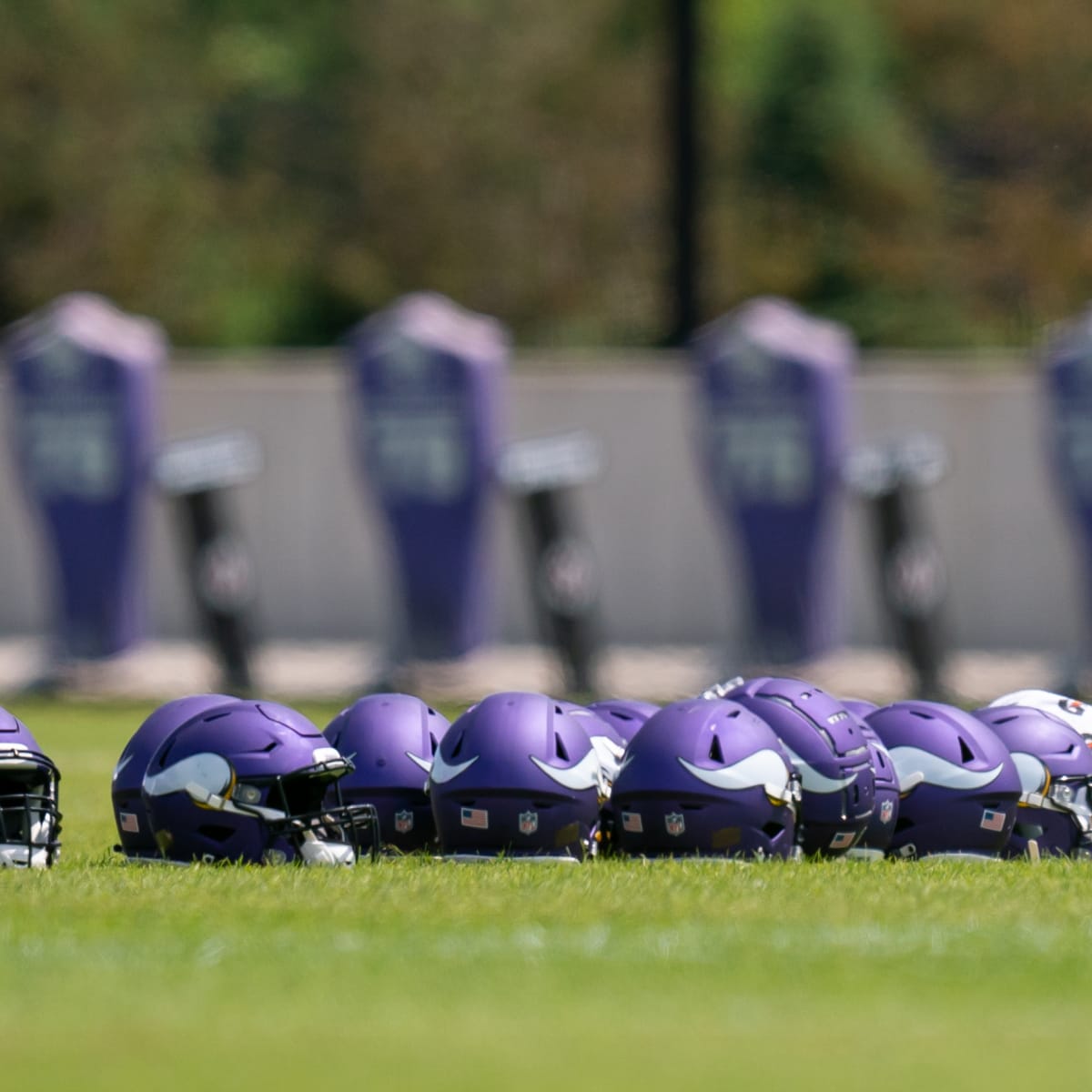 There could be 73,000 mullets at the Vikings game Sunday - Sports