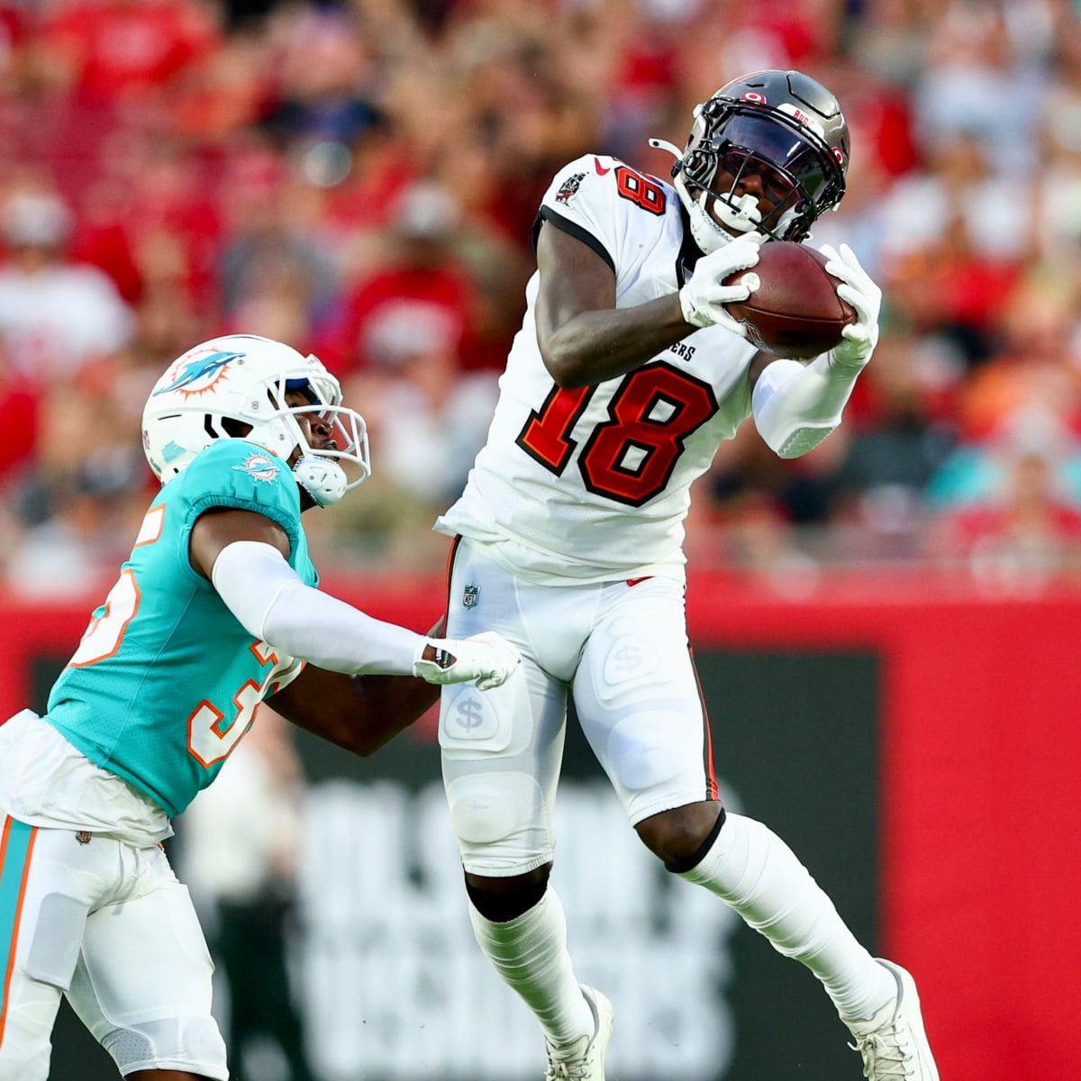 Tampa Bay Buccaneers Make Interesting Wide Receiver Cuts - Tampa