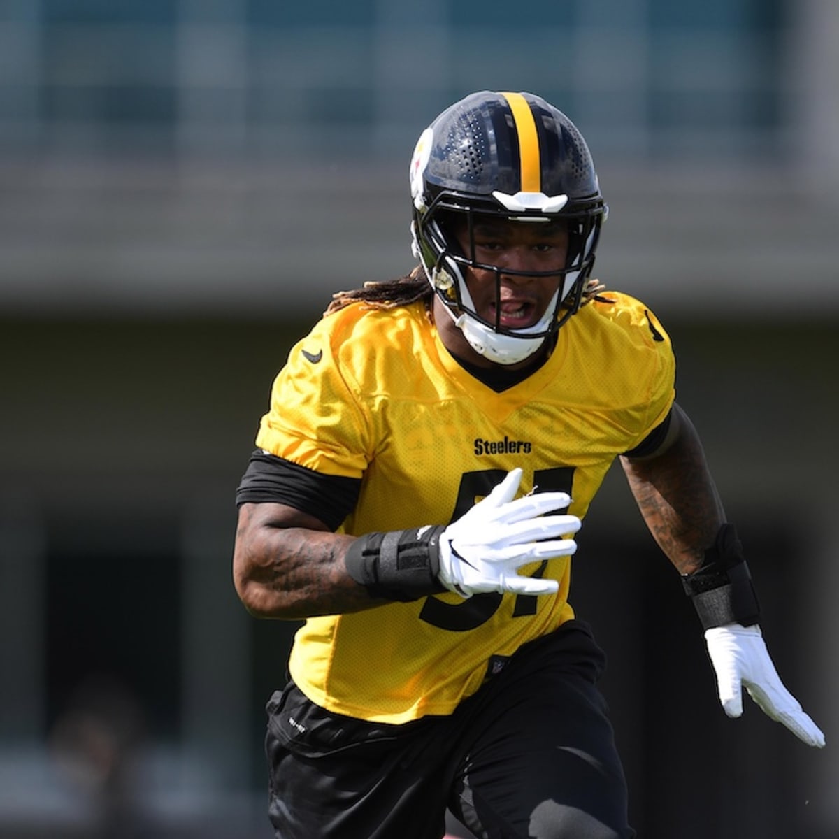 Pittsburgh Steelers Cut 24 Players, Including Buddy Johnson, Ahead of  Roster Deadline - Sports Illustrated Pittsburgh Steelers News, Analysis and  More